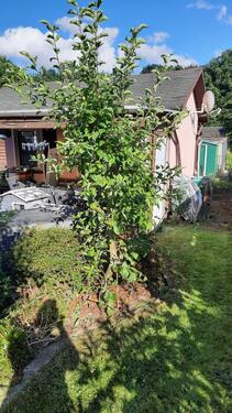 Foto - Grundstück in Bautzen