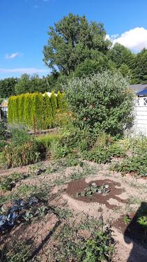 Foto - Grundstück in Bautzen zur Miete