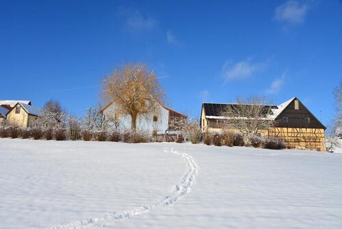 Foto - 2-Familienhaus mit Nebengebäuden und 4,3 h großem Grundstück