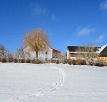 2-Familienhaus mit Nebengebäuden und 4,3 h großem Grundstück - Betzenstein