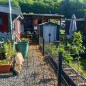 Foto - 3 Zimmer Einfamilienhaus in Waldbreitbach