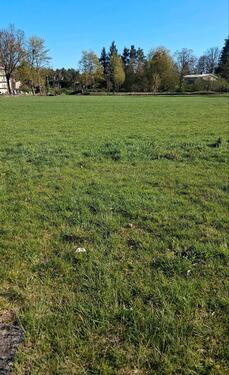 Foto - Grünland in Blievenstorf - 100,00&nbsp;EUR Kaltmiete, ca.&nbsp; 0,00&nbsp;m&sup2;