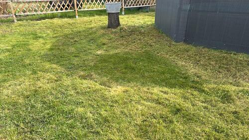 Foto - Grundst&uuml;ck in Schkeuditz zur Miete