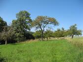 Foto - Schönes Wiesengrundstück mit Obstbäumen im Großraum Stuttgart