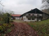 Foto - 