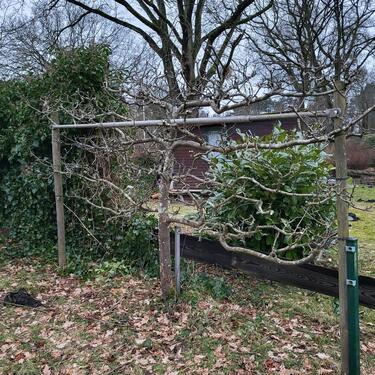 Foto - Grundst&uuml;ck in Cuxhaven zur Miete