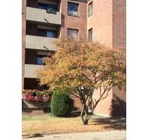 Hochparterre mit Balkon - 752,00&nbsp;EUR Kaltmiete, ca.&nbsp; 75,00&nbsp;m&sup2; in Aachen (PLZ: 52068) Aachen-Mitte