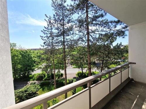 Foto - Erdgeschoßwohnung in Leipzig zur Miete