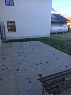 Foto - Erdgeschoßwohnung in Thurmansbang zur Miete