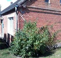 Wohnung in Groß Roge ab 30.Mai, 420 Warmmiete! - Teterow