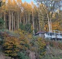 FerienhausEinfamilienhaus in Nesselhof - Floh-Seligenthal