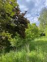 Foto - Grundst&uuml;ck in Hersbruck zur Miete