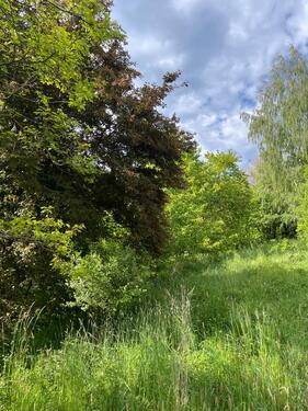 Foto - Grundst&uuml;ck in Hersbruck zur Miete