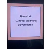 1 Zimmer , Barnstorf zentral - 300,00&nbsp;EUR Kaltmiete, ca.&nbsp; 20,00&nbsp;m&sup2; in Barnstorf (PLZ: 49406)