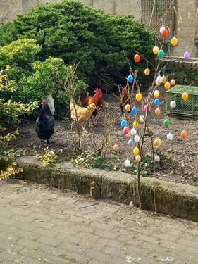 Foto - Bauernhaus Nähe Mühlfeldsee - 169.000,00&nbsp;EUR Kaufpreis, ca.&nbsp; 150,00&nbsp;m&sup2;