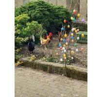 Bauernhaus Nähe Mühlfeldsee - 169.000,00&nbsp;EUR Kaufpreis, ca.&nbsp; 150,00&nbsp;m&sup2; in Delitzsch (PLZ: 04509)