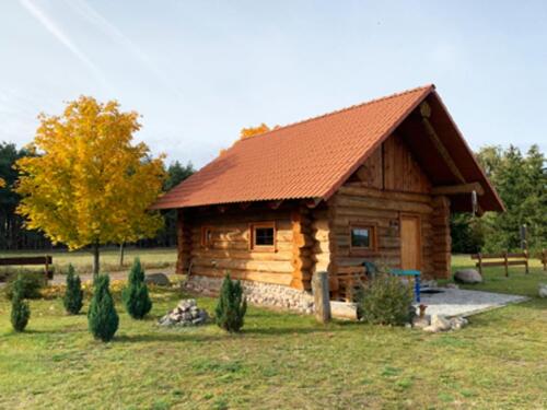 Foto - Unterkünfte Ferienhaus Schäferwagen Camping am Flugplatz