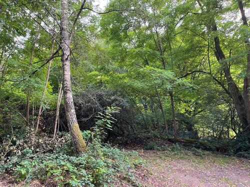 Foto - Grundstück in Kaiserslautern zur Miete