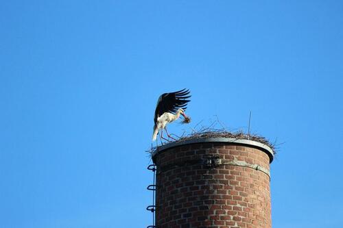 Foto - 4 Zimmer Etagenwohnung in Crimmitschau