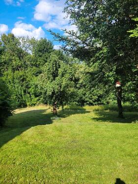 Foto - Einfamilienhaus in Lichtenberg/Erzgebirge zum Kaufen
