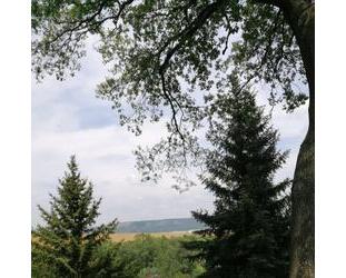 1200qm2 Erholungsgrundstück mit 2 Bungalows und großen Terrassen - Bucha
