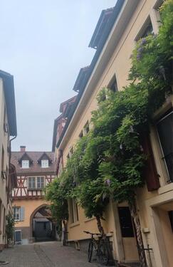 Foto - 2.5 Zimmer Etagenwohnung zum Kaufen in Weinheim