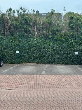 Foto - Etagenwohnung zum Kaufen in Essen