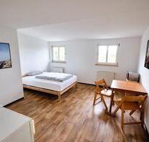 Hell & möbliert | 1-Zimmer ApartmentWohnung in Leipzig Plagwitz