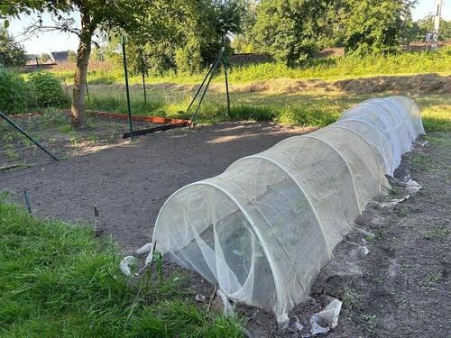 Foto - Grundstück in Bad Liebenwerda zur Miete