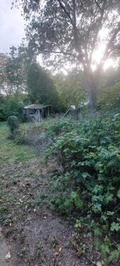 Foto - Frankfurt-Hoechst-Sossenheim - 1.500,00 EUR Kaltmiete, ca.  0,00 m²