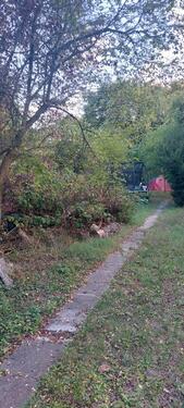 Foto - Grundstück in Oberstreu