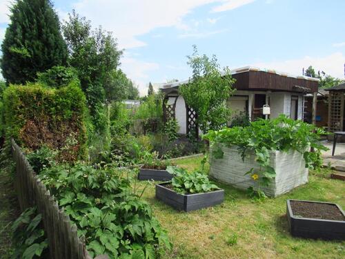 Foto - Grundst&uuml;ck in Zittau