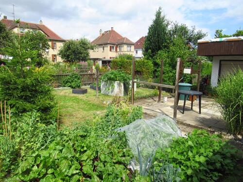 Foto - Grundst&uuml;ck in Zittau zur Miete