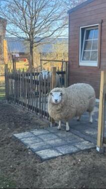 Foto - Ferienhaus Büro zu vermieten - 123,00&nbsp;EUR Kaltmiete,