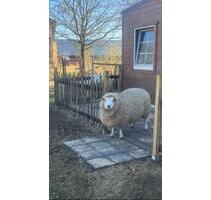 Ferienhaus Büro zu vermieten - 123,00&nbsp;EUR Kaltmiete, in Buchholz in der Nordheide (PLZ: 21244)