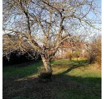 Pachtgarten - 350,00&nbsp;EUR Kaltmiete, ca.&nbsp; 0,00&nbsp;m&sup2; in Wernigerode (PLZ: 38855)