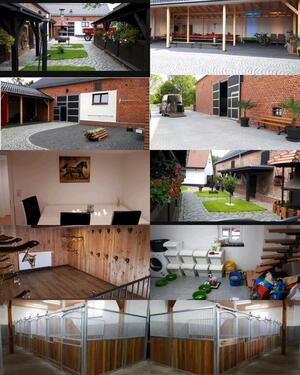 Foto - Einfamilienhaus in Forst (Lausitz)