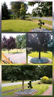 Foto - Mehrfamilienhaus, Wohnhaus in Bösel