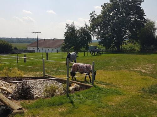 Foto - Kernsaniertes EFH mit großem Grundstück provisionsfrei