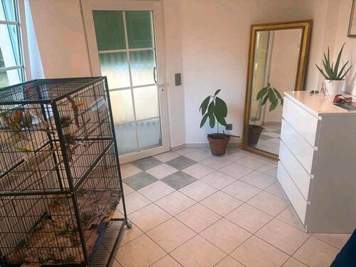 Foto - 3 Zimmer Etagenwohnung zur Miete in Düren