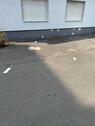 Foto - Parkplatz Alicenstraße - 55,00 EUR Miete,