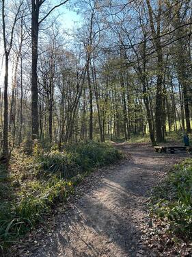 Foto - Erstbezug - sanierte 1,5 Zi. Wohnung inkl. TGEBK