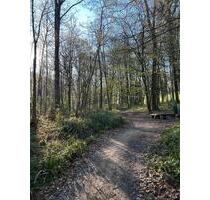 Erstbezug - sanierte 1,5 Zi. Wohnung inkl. TGEBK - Freiburg im Breisgau Brühl