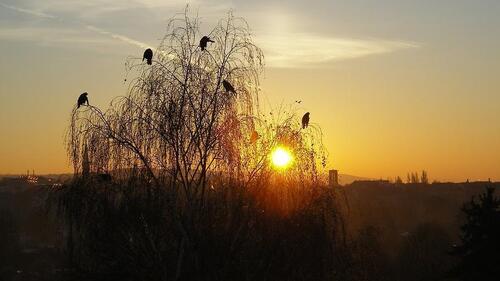 Foto - Geräumige Gewerbeeinheit Büro im Erdgeschoss * gepflegtes Jugendstil - Wohn- und Geschäftshaus