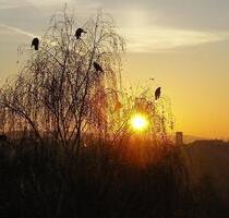 Geräumige Gewerbeeinheit Büro im Erdgeschoss * gepflegtes Jugendstil - Wohn- und Geschäftshaus - Riesa Neuweida