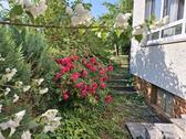 Foto - 7 Zimmer Einfamilienhaus in Sonnefeld