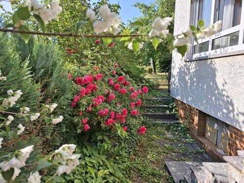 Foto - 7 Zimmer Einfamilienhaus in Sonnefeld