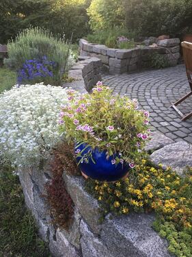 Foto - Einfamilienhaus in Suderburg zum Kaufen