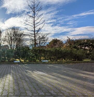 Foto - Parkplatz, Aussenstellfläche für PKW, Anhänger, Motorrad nahe LP
