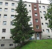 Renovierte 3 - Zimmer Wohnung in Uninähe! - Passau Mühltal